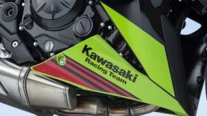 Belly Kawasaki Ninja 650 ABS KRT Edition 2020