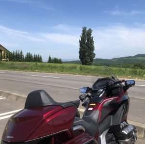 Trunk Gold Wing SC79 Japan Custom Culture