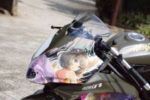 Cowl Ninja 250 RR Mono