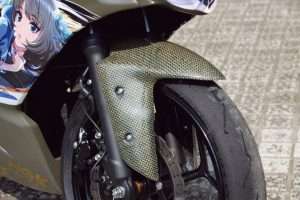 Spakbor Depan Ninja 250 RR Mono