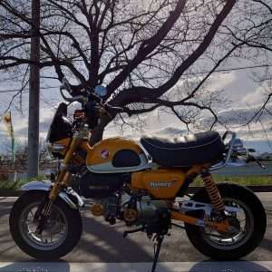 Bagian Kiri Monkey125 Modif