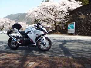 CBR250RR Sakura