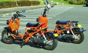 Duo Zoomer Orange