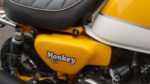 Tutup Aki Monkey 125