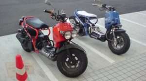 Zoomer orange dan biru