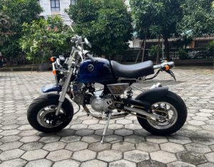 Honda Monkey Custom