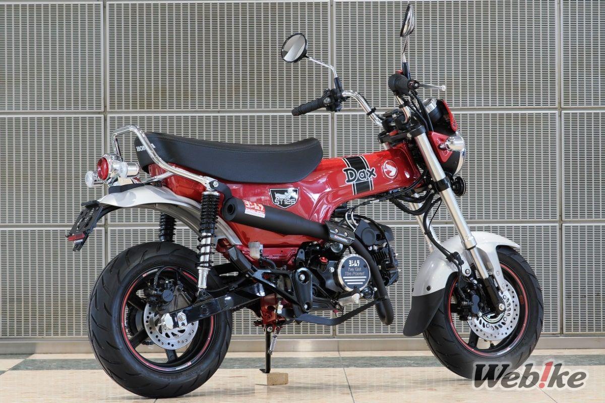 Fender Eliminator Dax125