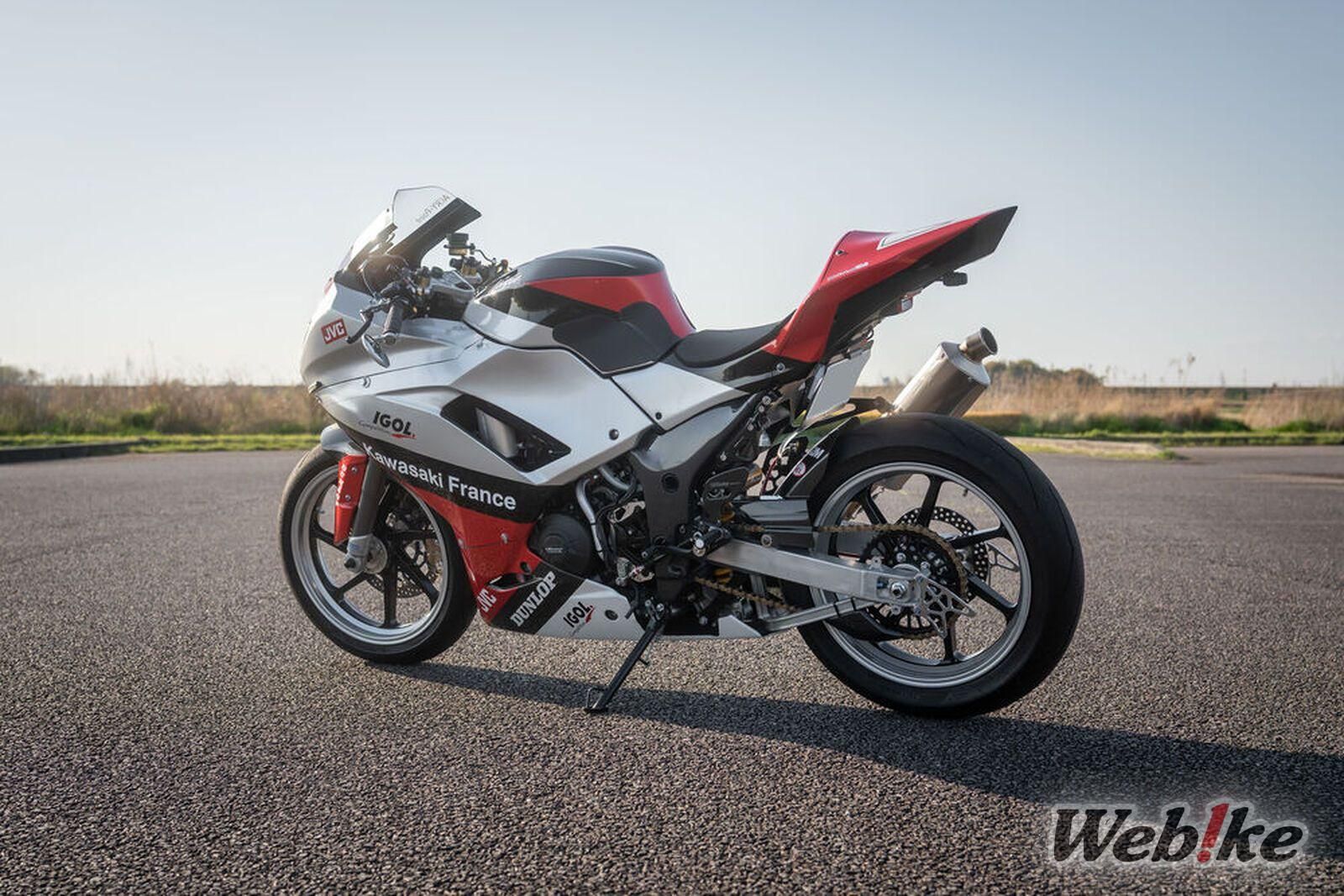 Ninja 250 Custom