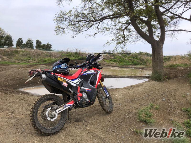 Body CRF250 Rally