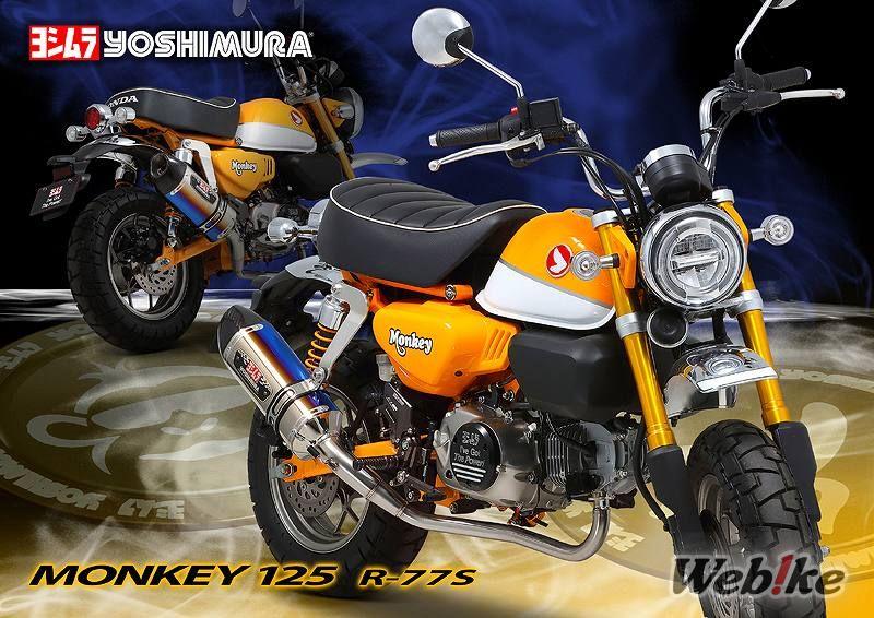 Knalpot Monkey 125 Carbon