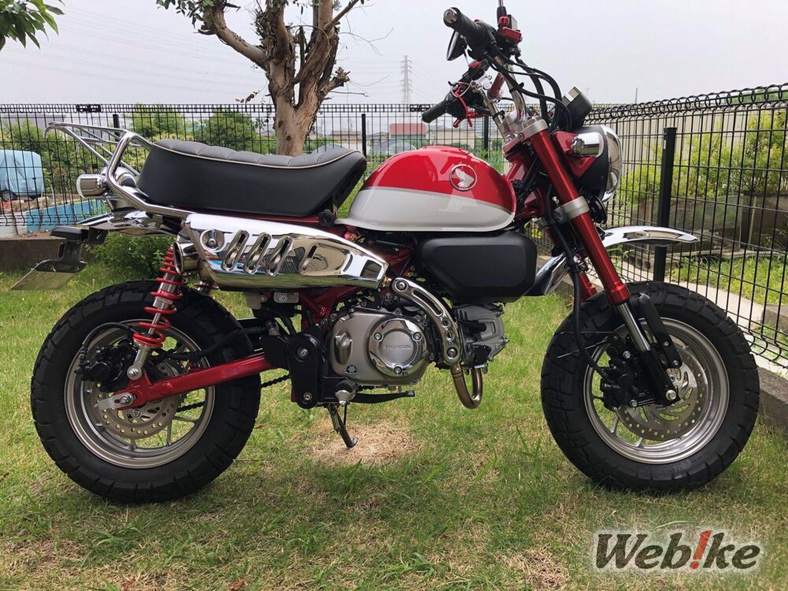 Modifikasi Monkey 2023
