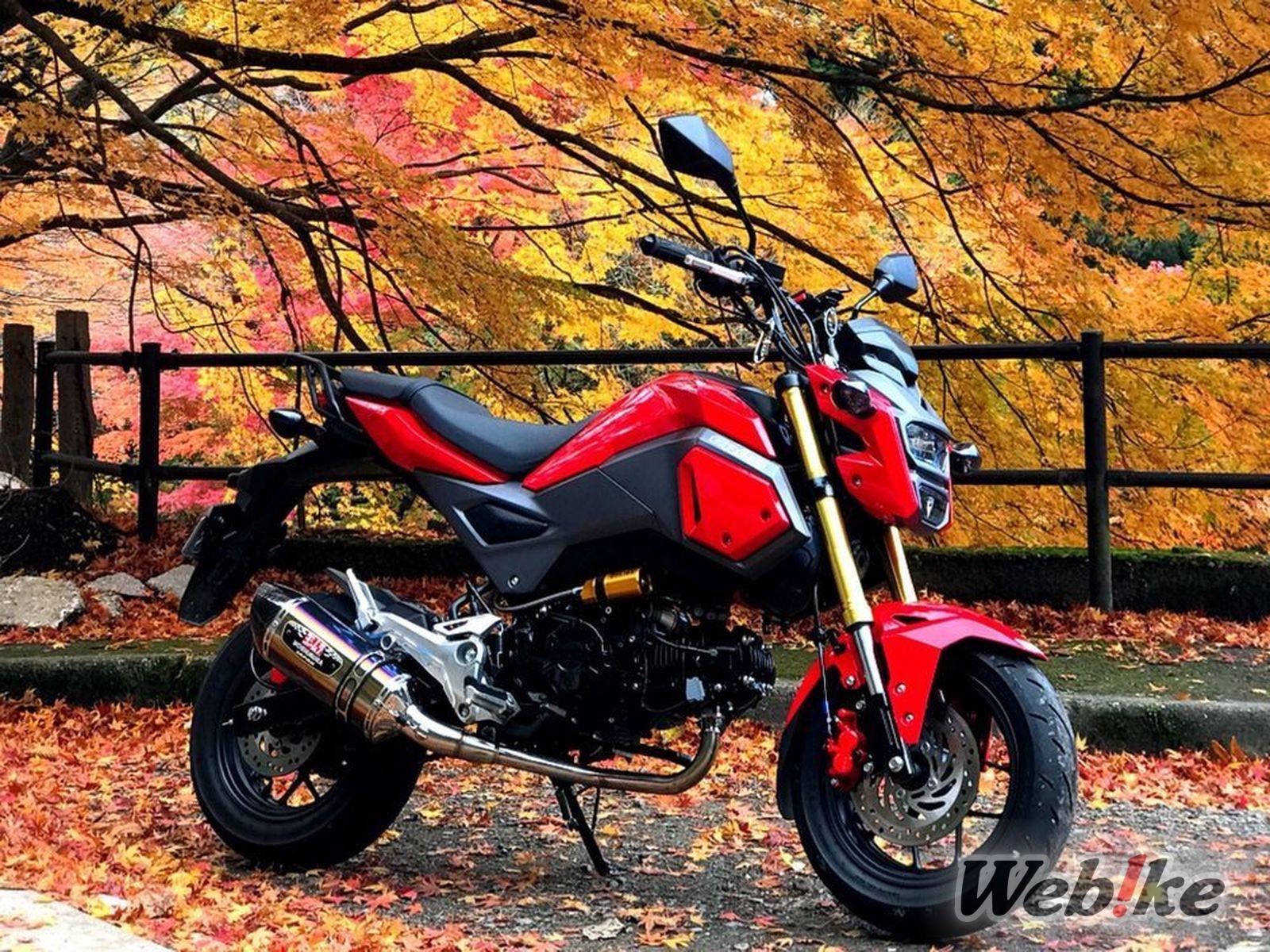 Modifikasi MSX125